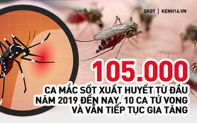 Mối nguy bệnh sốt xuât huyết từ muỗi.